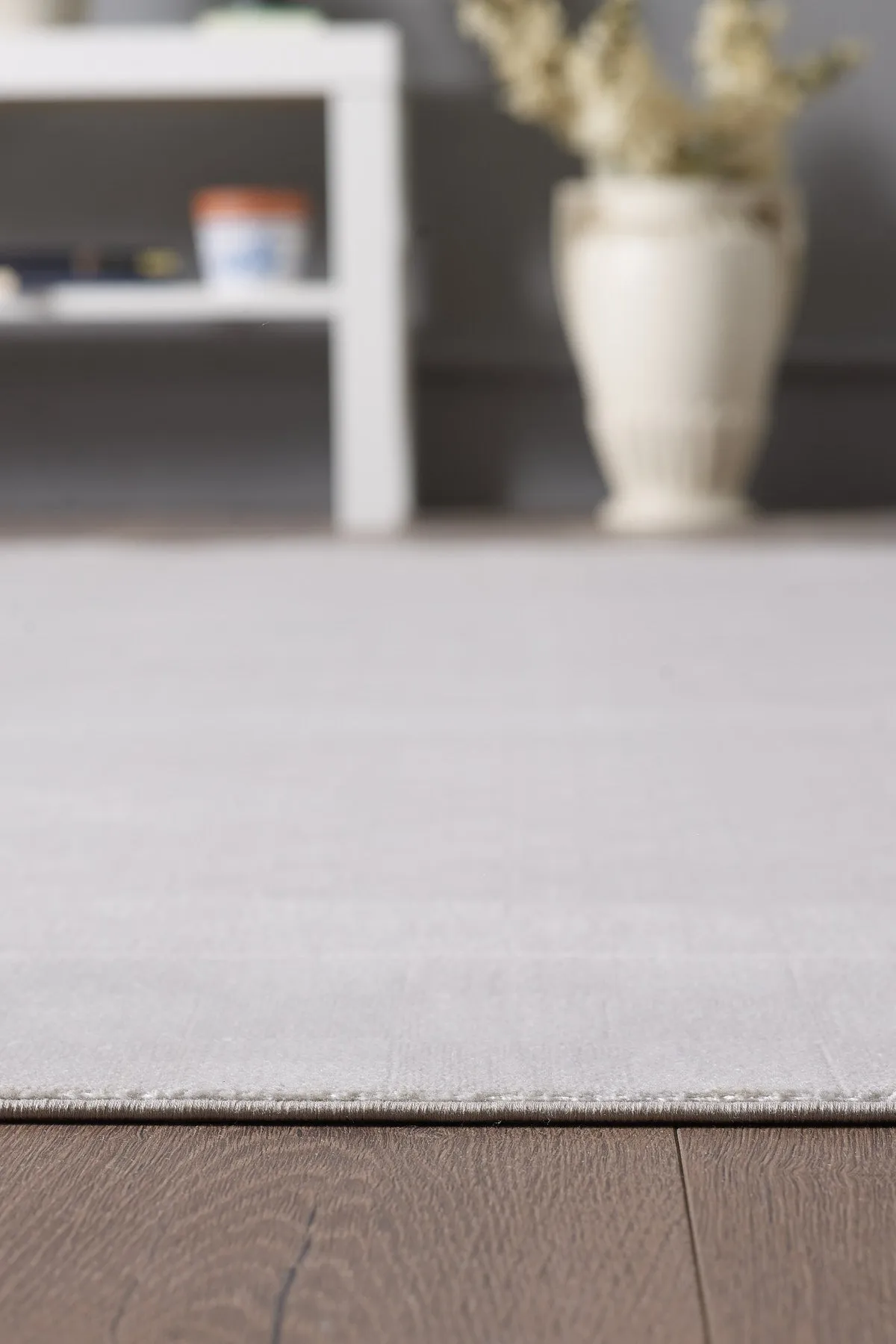 Living Room Carpet